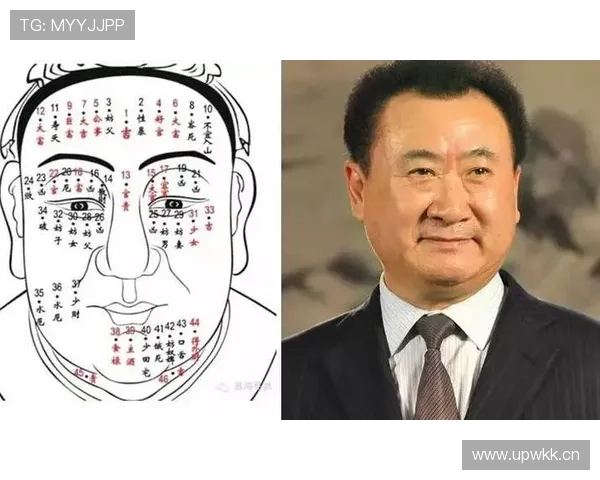 企业家面相解析:如何通过面相识别商业领袖的成功潜力与个人特质