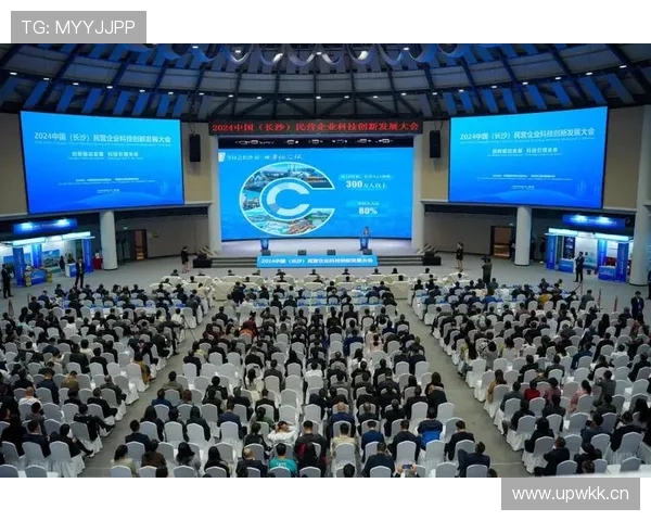 企业家理想引领未来创新发展探索与实践之路